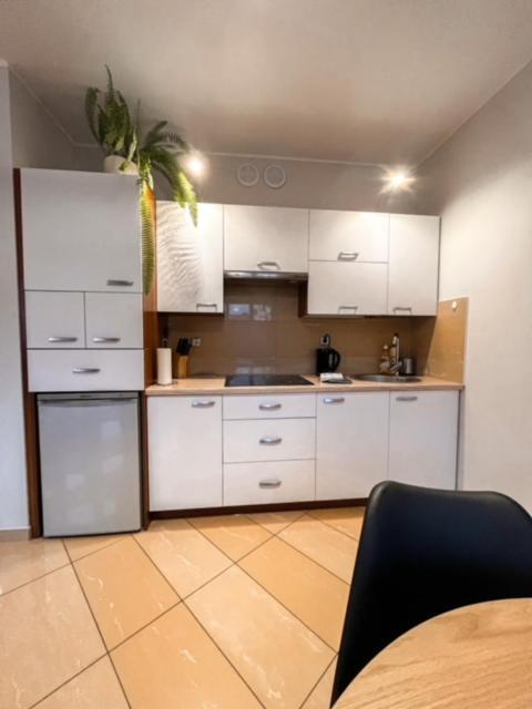 Apartment Hanna *